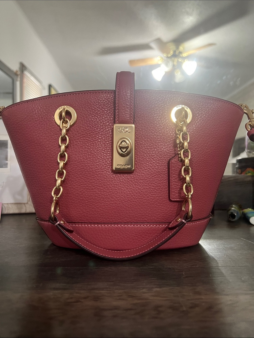 Coach Lane Bucket Bag